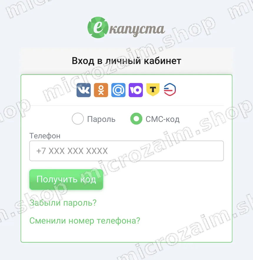 Войти в личный кабинет Екапуста - форма входа