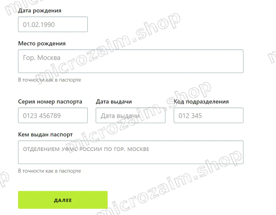 внести паспортные данные