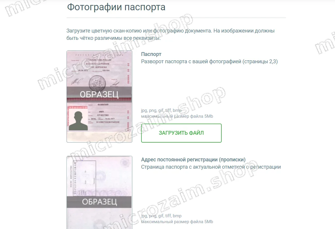 загрузка в лк платиза фото паспорта