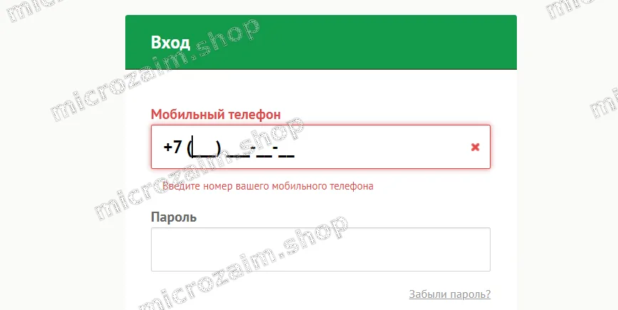 войти в лк платиза