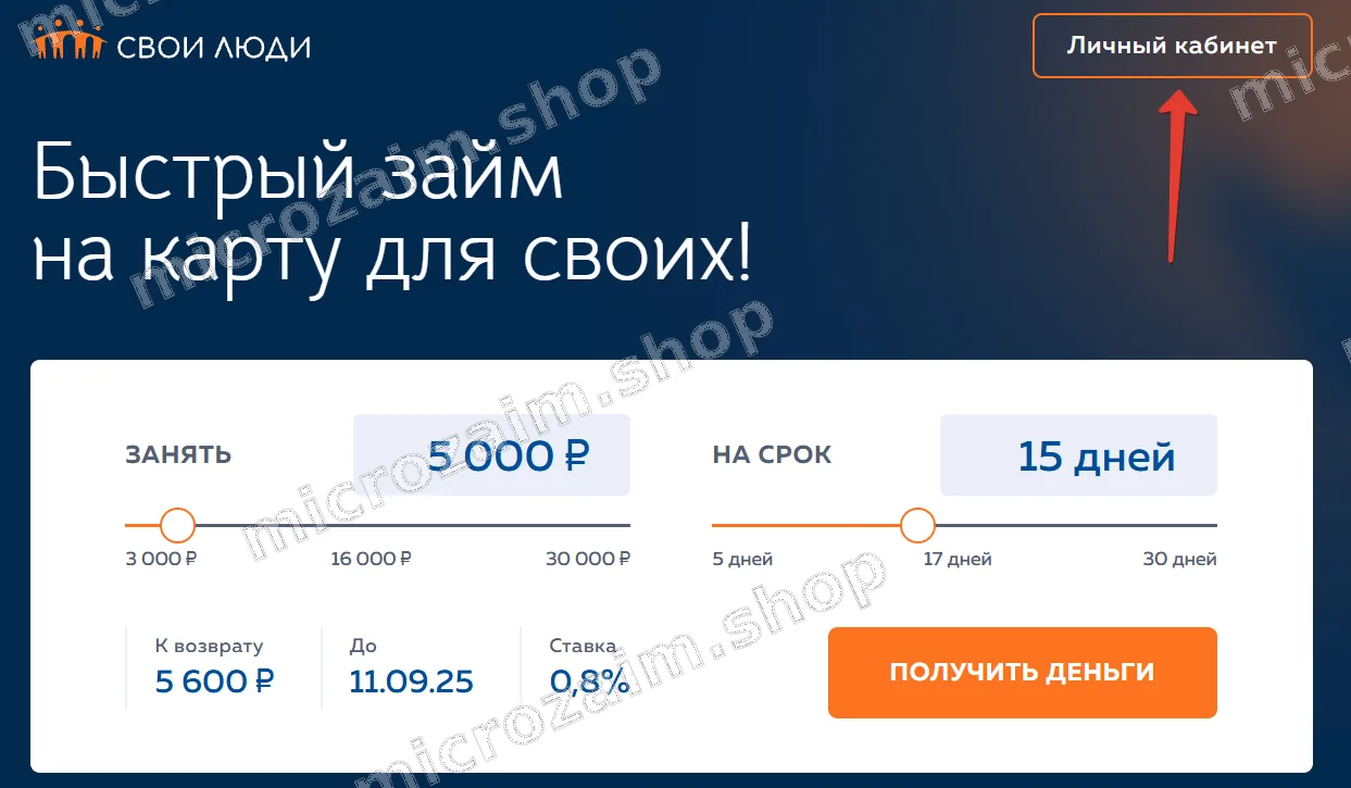 Войти в личный кабинет Свои Люди