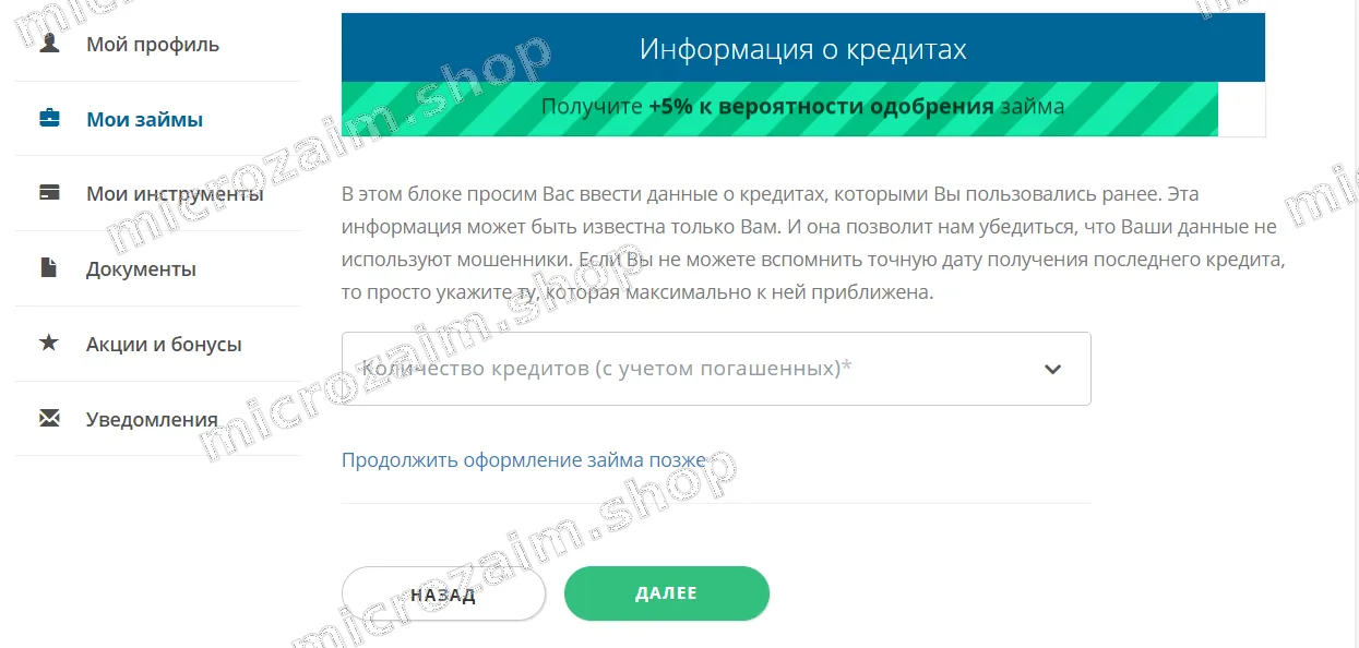 внести информацию о действующих кредитах