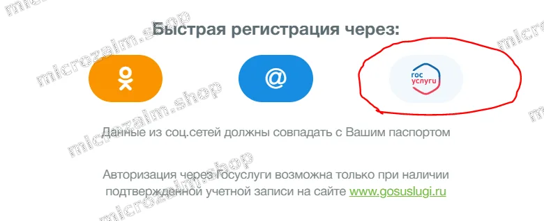 вход в лк займера через госуслуги
