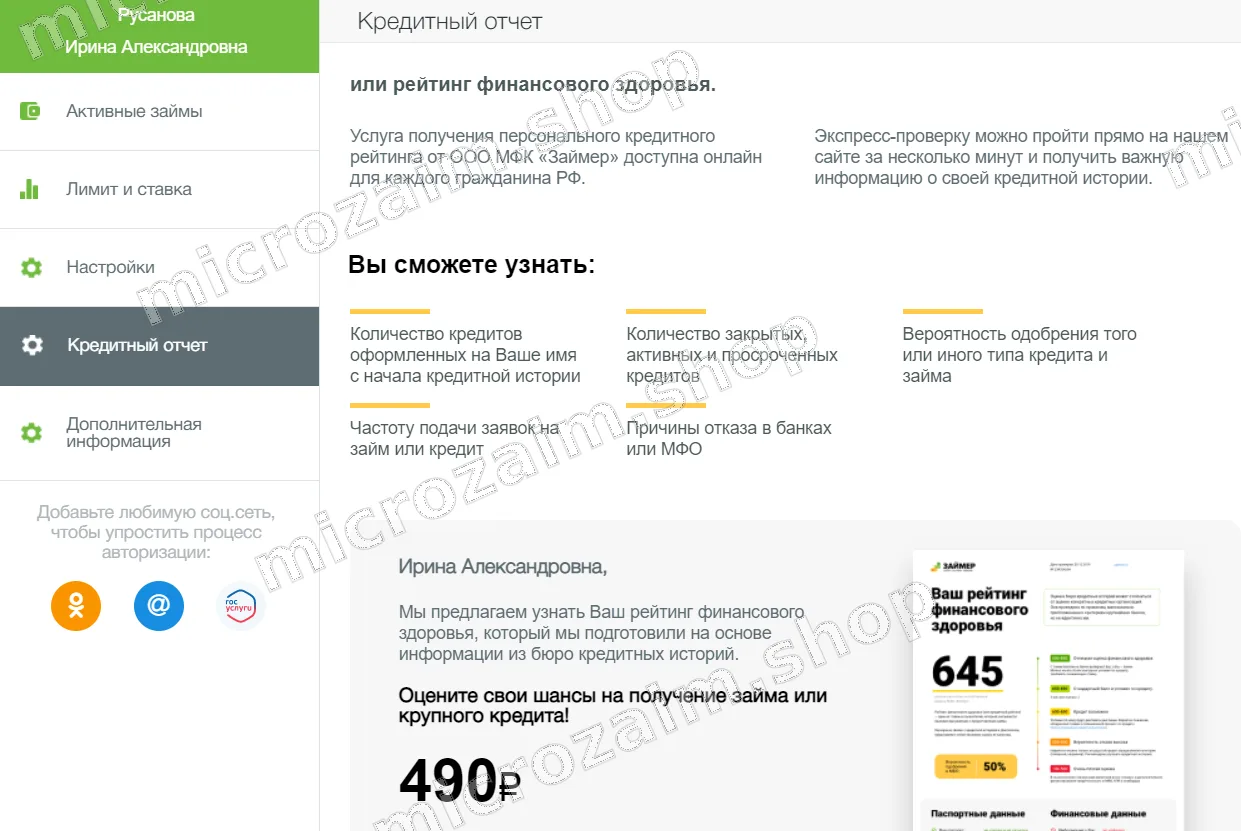 кредитный отчет