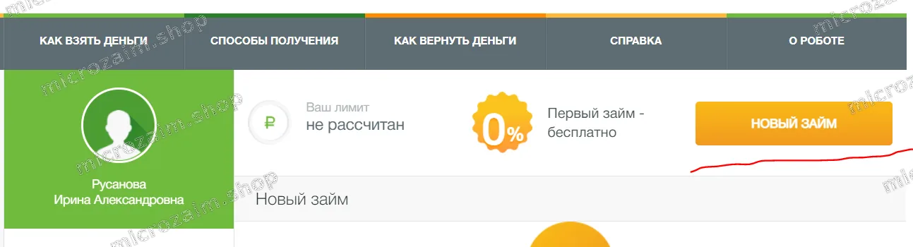 новый займ в займере
