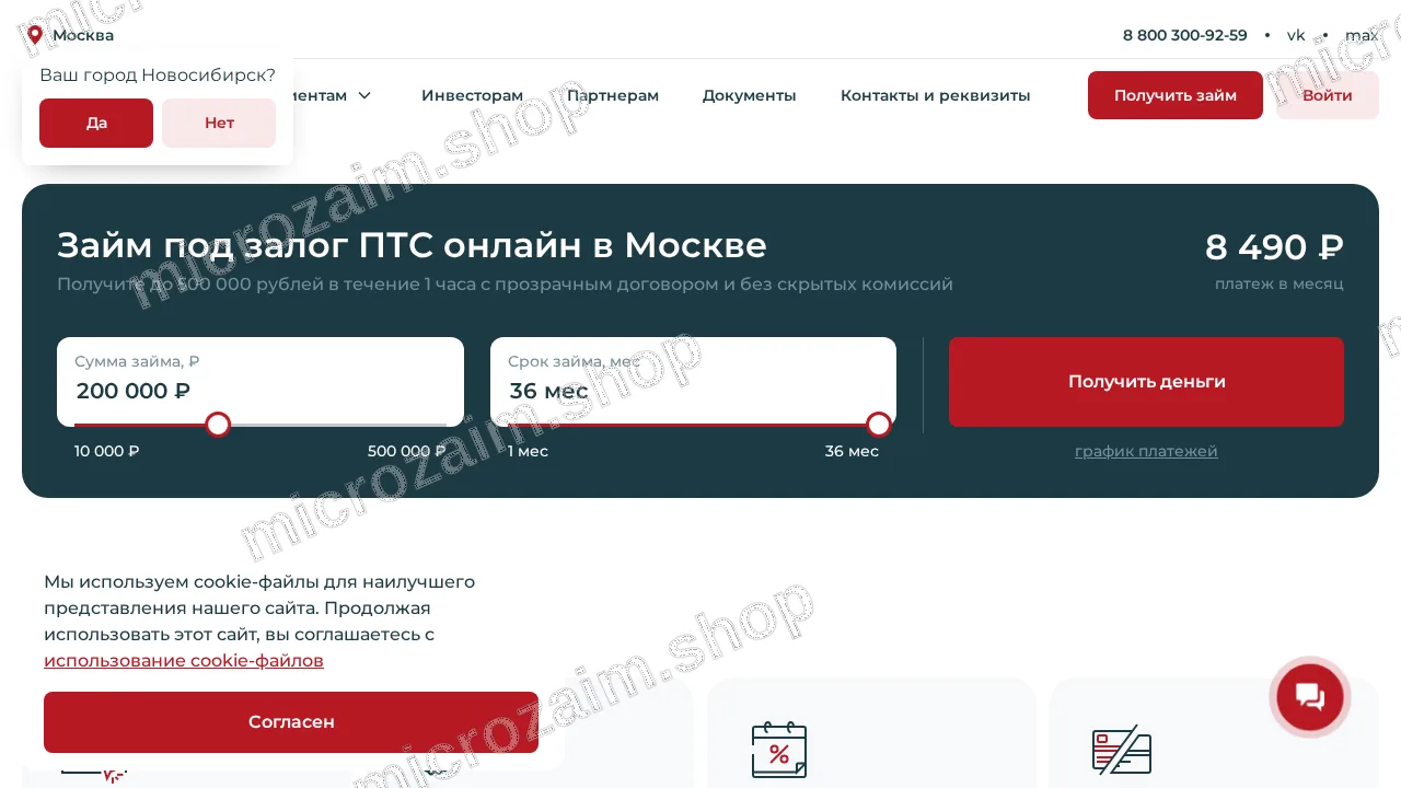 Главная страница — Драйвзайм