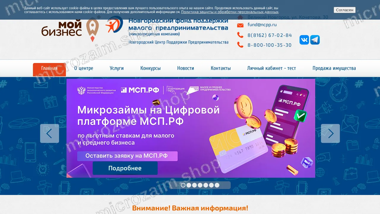 Главная страница — ФОНД МКК НФПМП
