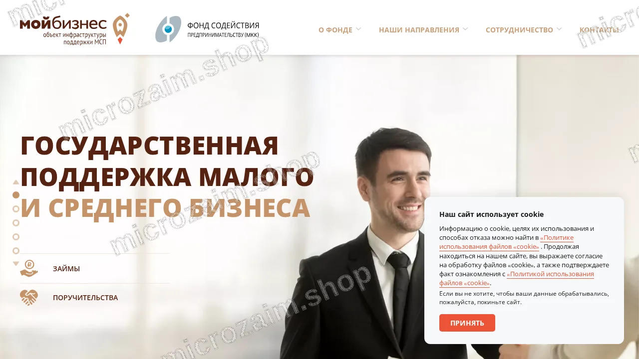 Главная страница — Фонд содействия предпринимательству (МКК)