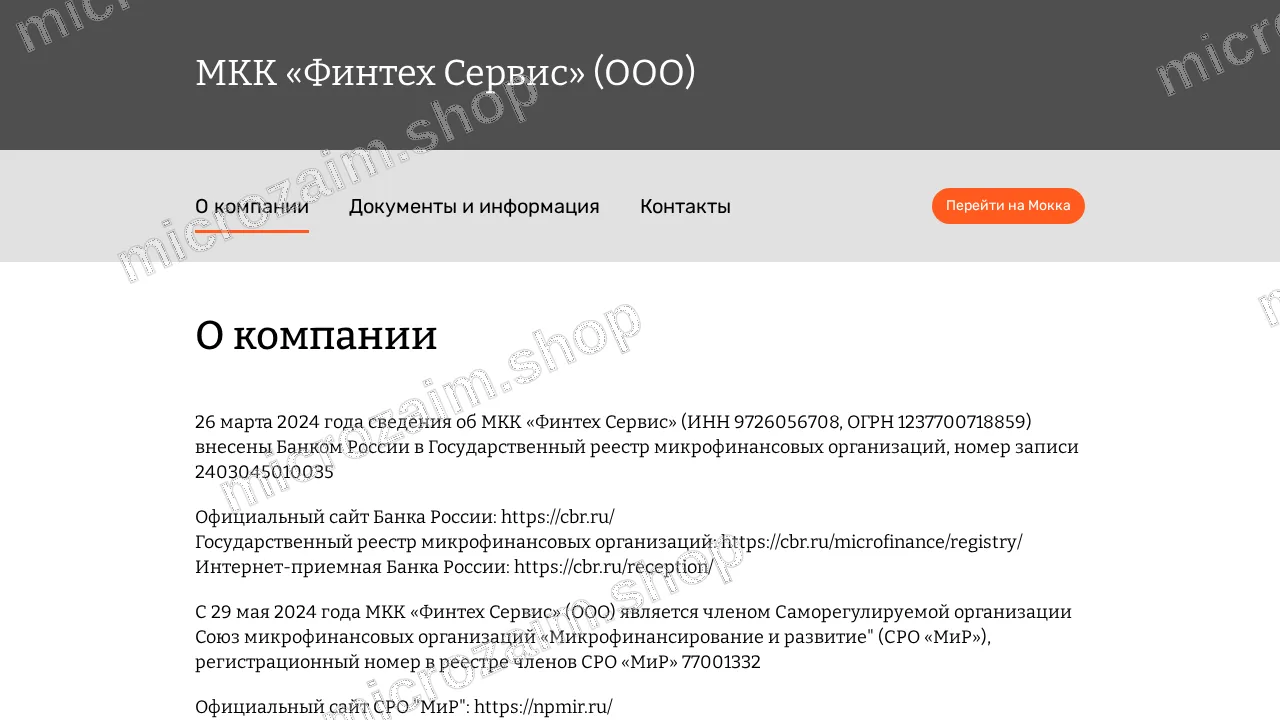 Главная страница — МКК «Финтех Сервис» (ООО)