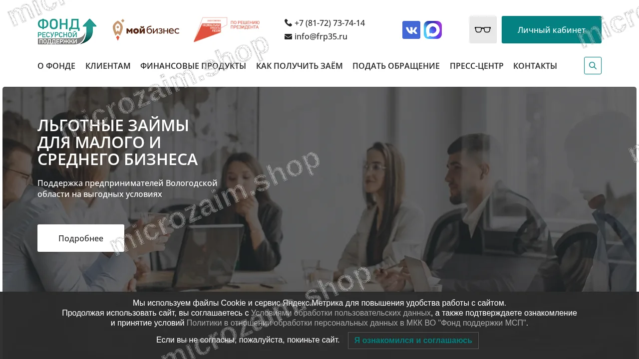 Главная страница — МКК ВО «Фонд поддержки МСП»