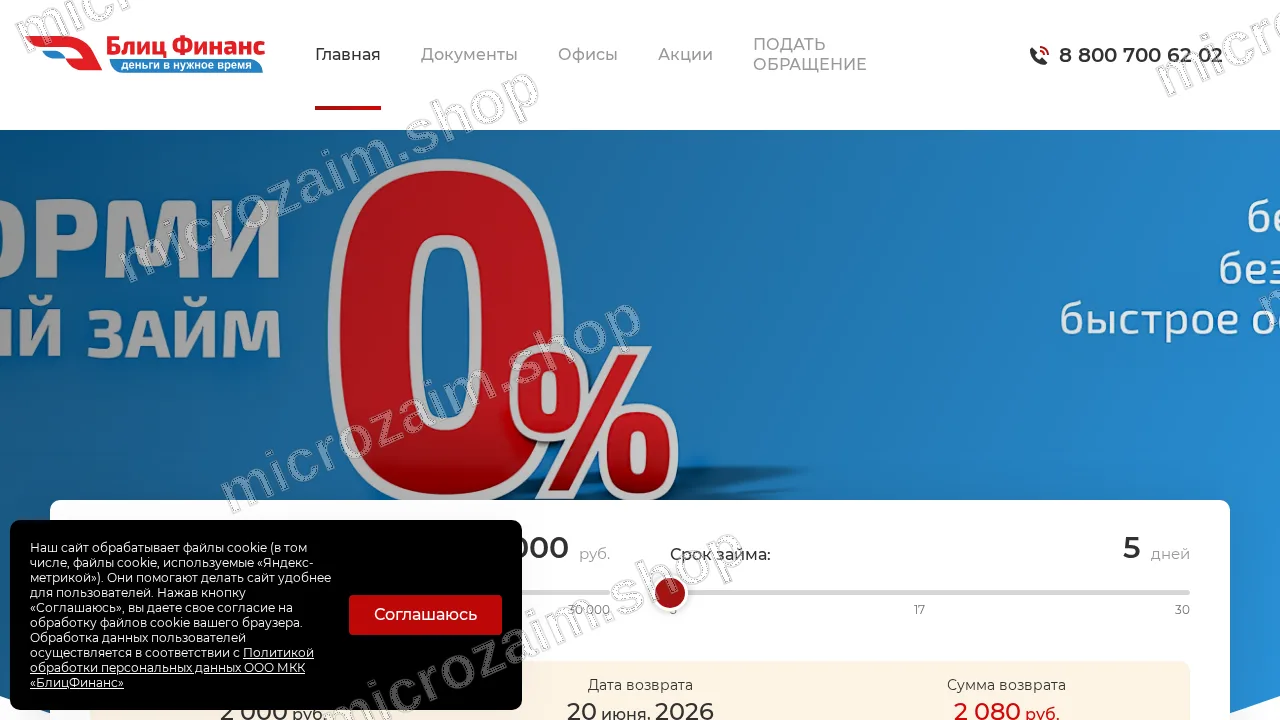 Главная страница — ООО МКК «БлицФинанс»