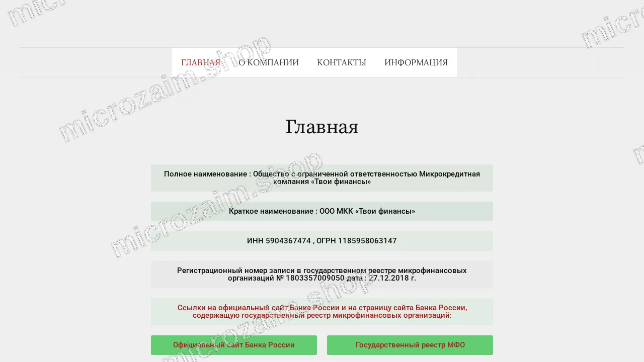 Главная страница — ООО МКК «Твои финансы»